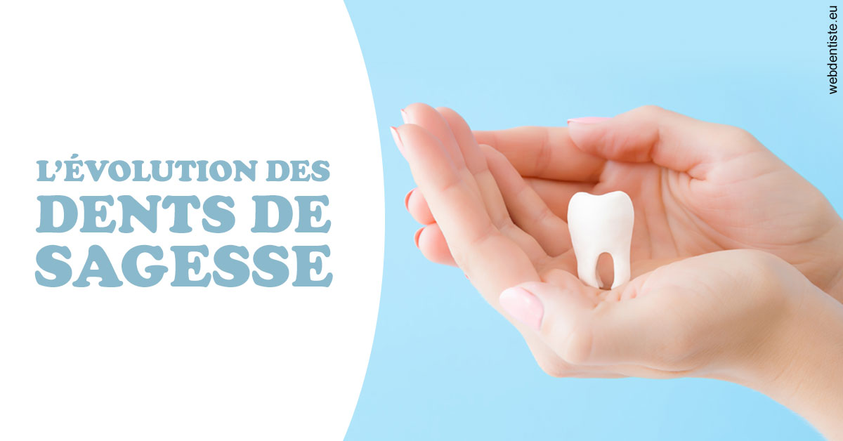 https://dr-bensoussan-jacques-yves.chirurgiens-dentistes.fr/Evolution dents de sagesse 1