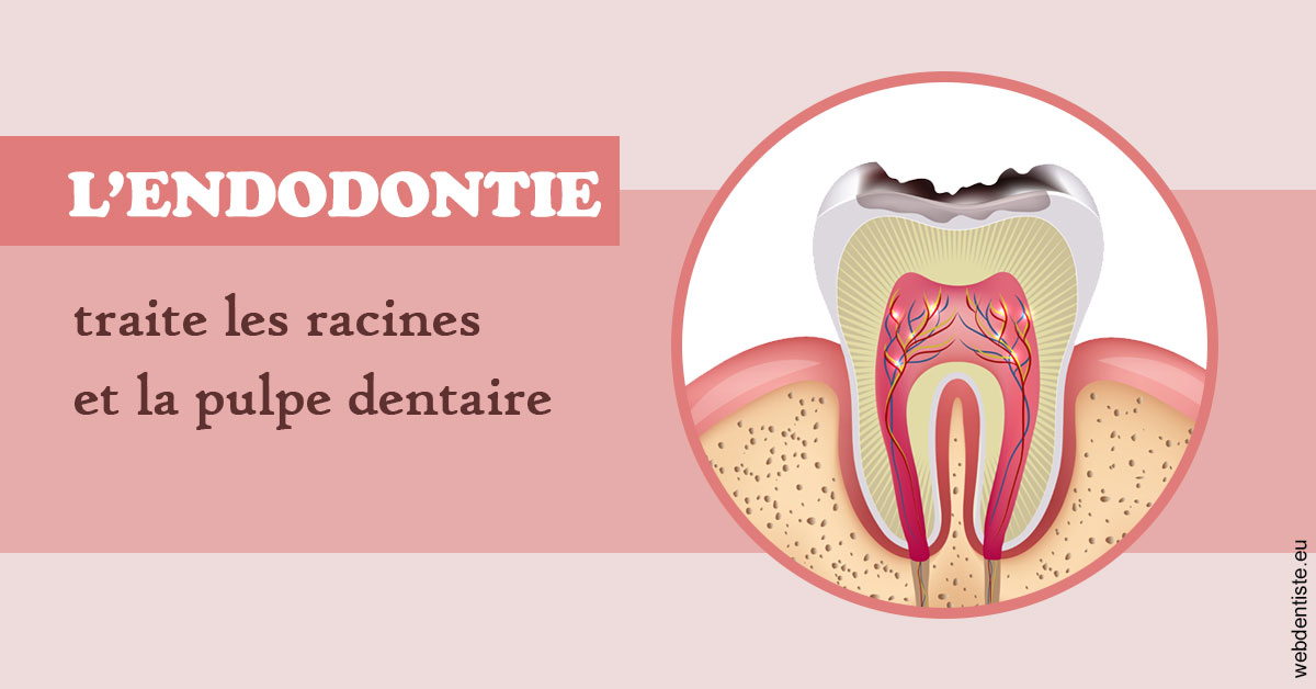 https://dr-bensoussan-jacques-yves.chirurgiens-dentistes.fr/L'endodontie 2